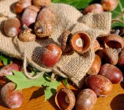 tratament tumorii razatoare