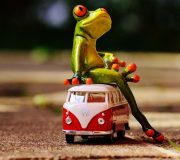 Service auto autorizat