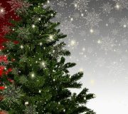 alegerea bradului de Craciun